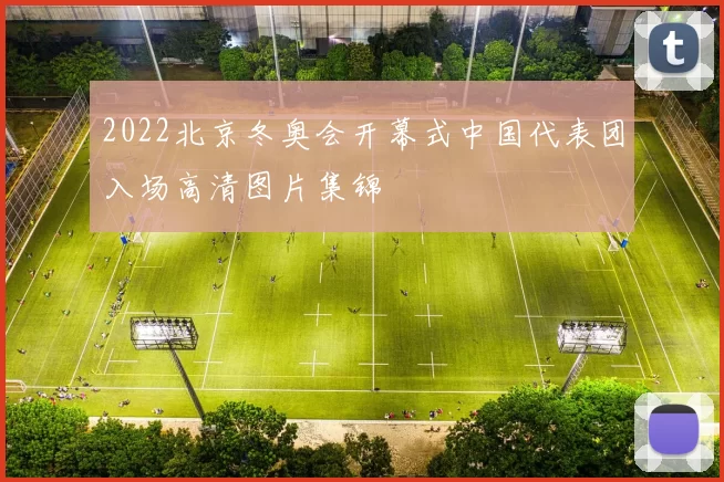 2022北京冬奥会开幕式中国代表团入场高清图片集锦